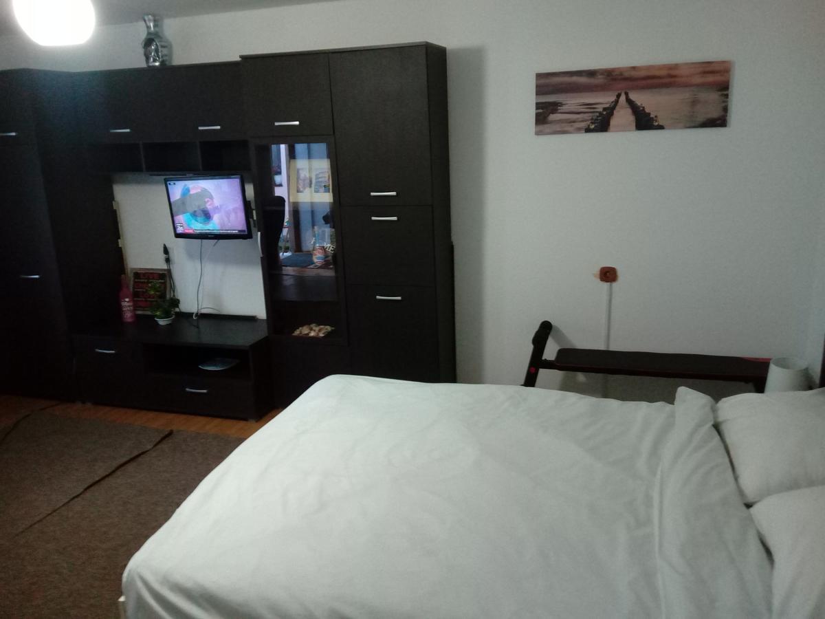 Casa Magda Apartment Timisoara Ngoại thất bức ảnh