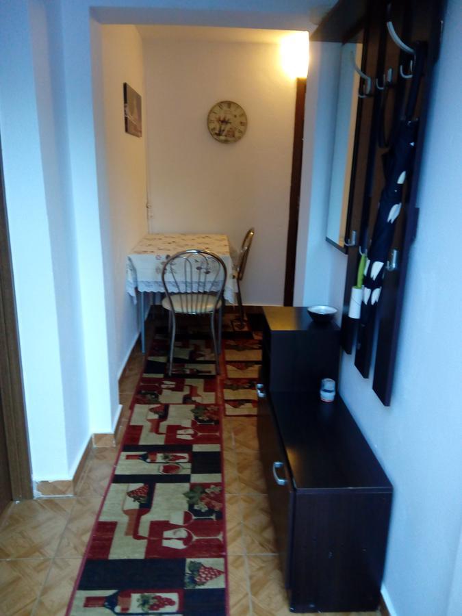 Casa Magda Apartment Timisoara Ngoại thất bức ảnh