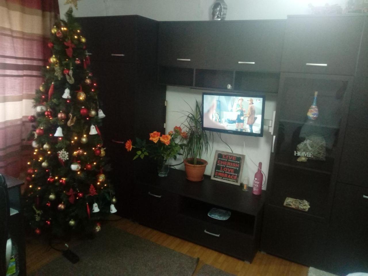 Casa Magda Apartment Timisoara Ngoại thất bức ảnh