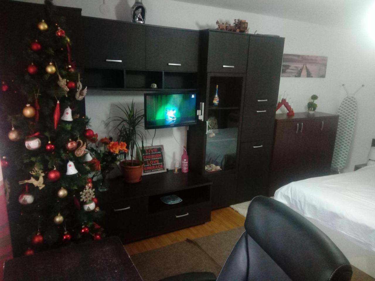 Casa Magda Apartment Timisoara Ngoại thất bức ảnh